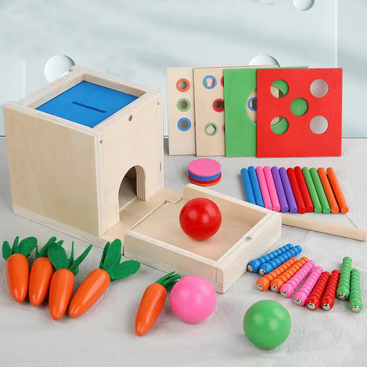 6-in-1 Wooden Montessori Toy