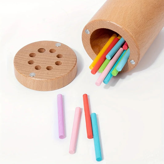 Montessori Wooden Color Sorting Toys