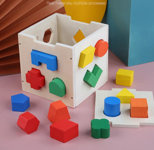 Montessori 15-Hole Intelligence Box