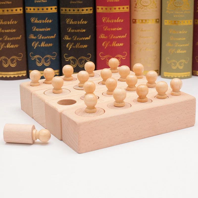 Montessori Knobbed Cylinder Toy