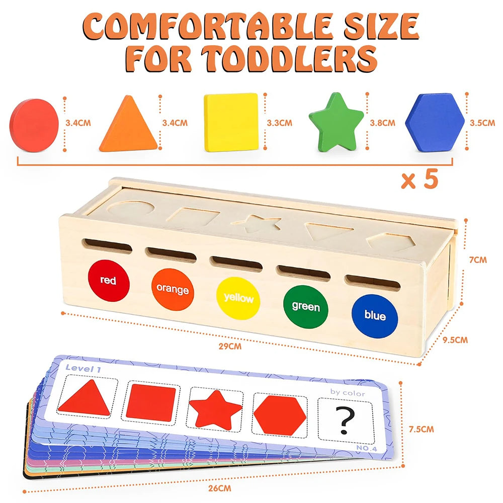 Wooden Color & Shape Sorting Box