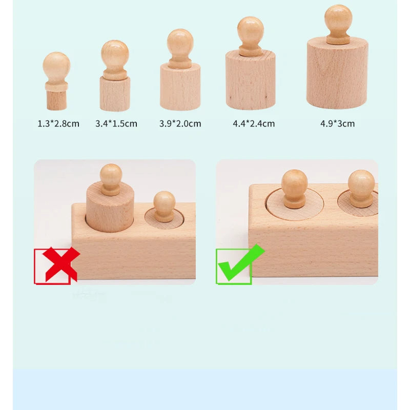 Montessori Knobbed Cylinder Toy