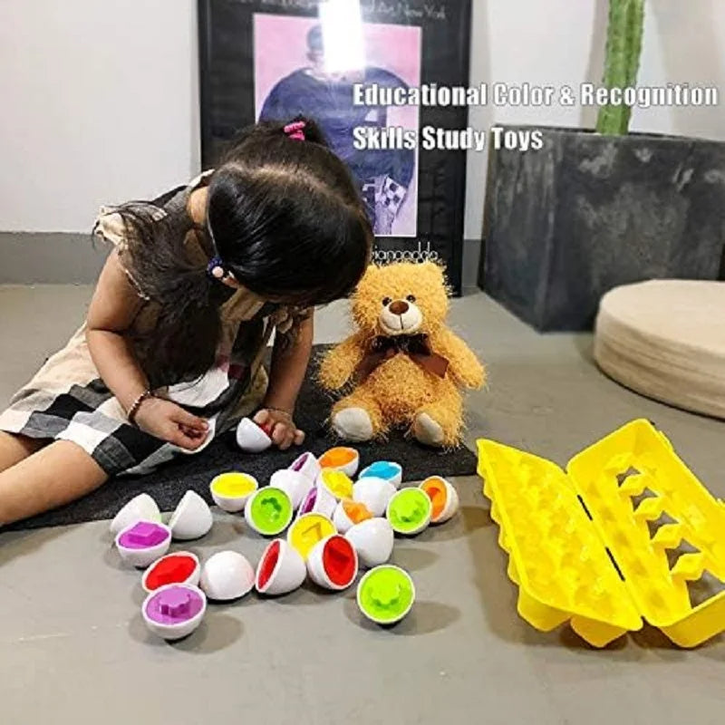 Matching Eggs Montessori Toys
