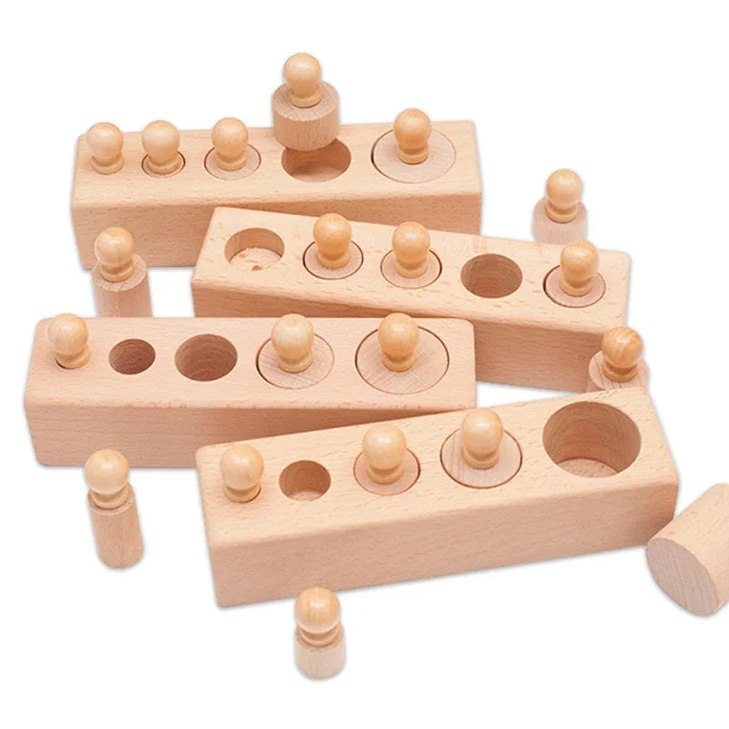 Montessori Knobbed Cylinder Toy