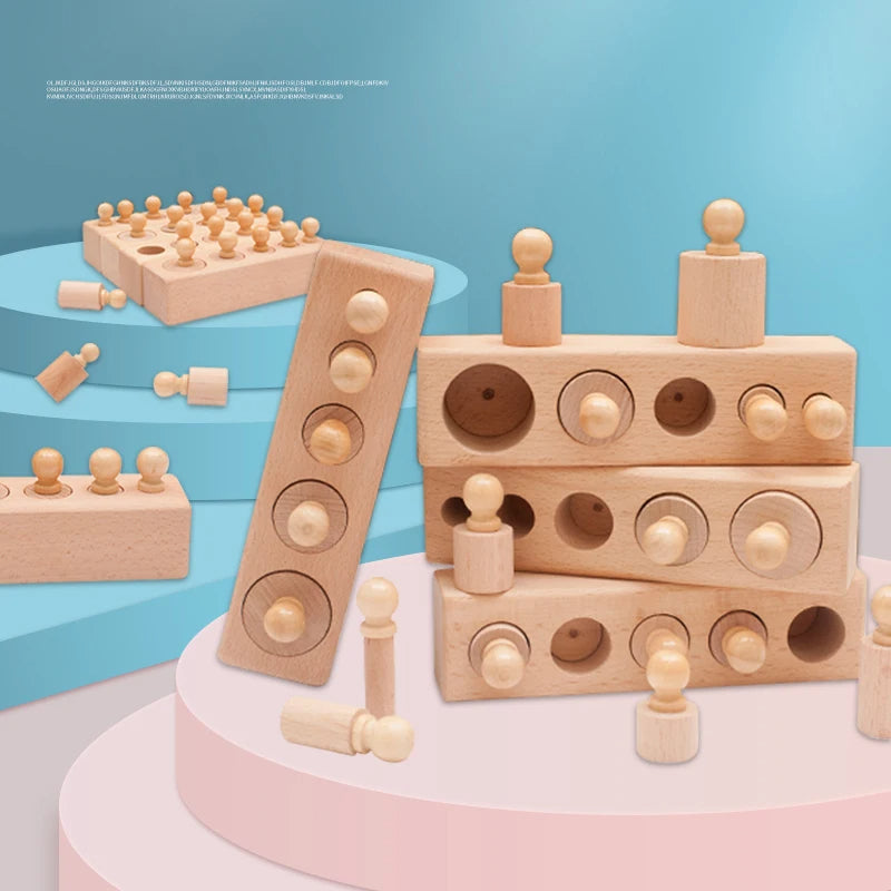 Montessori Knobbed Cylinder Toy