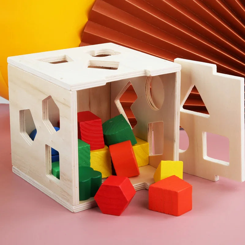 Montessori 15-Hole Intelligence Box