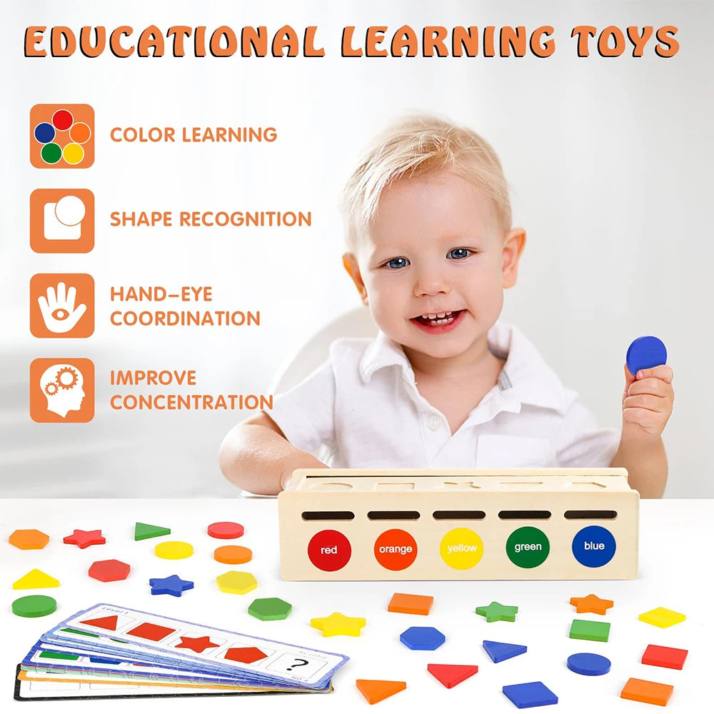 Wooden Color & Shape Sorting Box