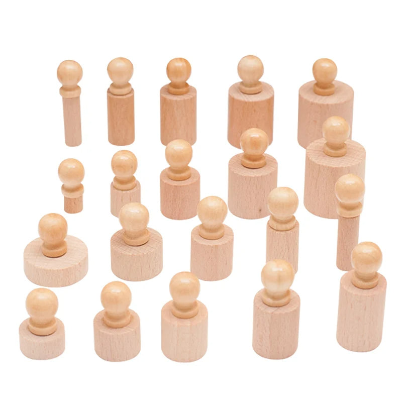 Montessori Knobbed Cylinder Toy