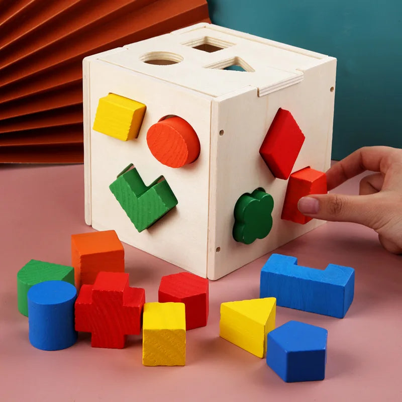 Montessori 15-Hole Intelligence Box