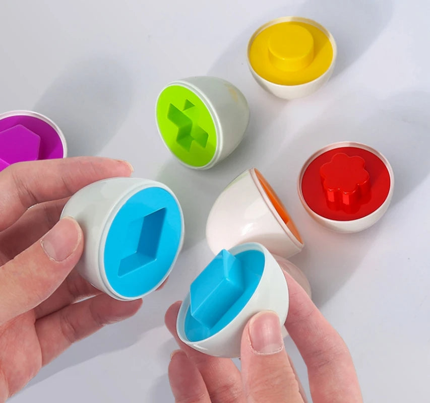 Matching Eggs Montessori Toys