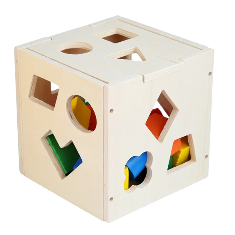 Montessori 15-Hole Intelligence Box